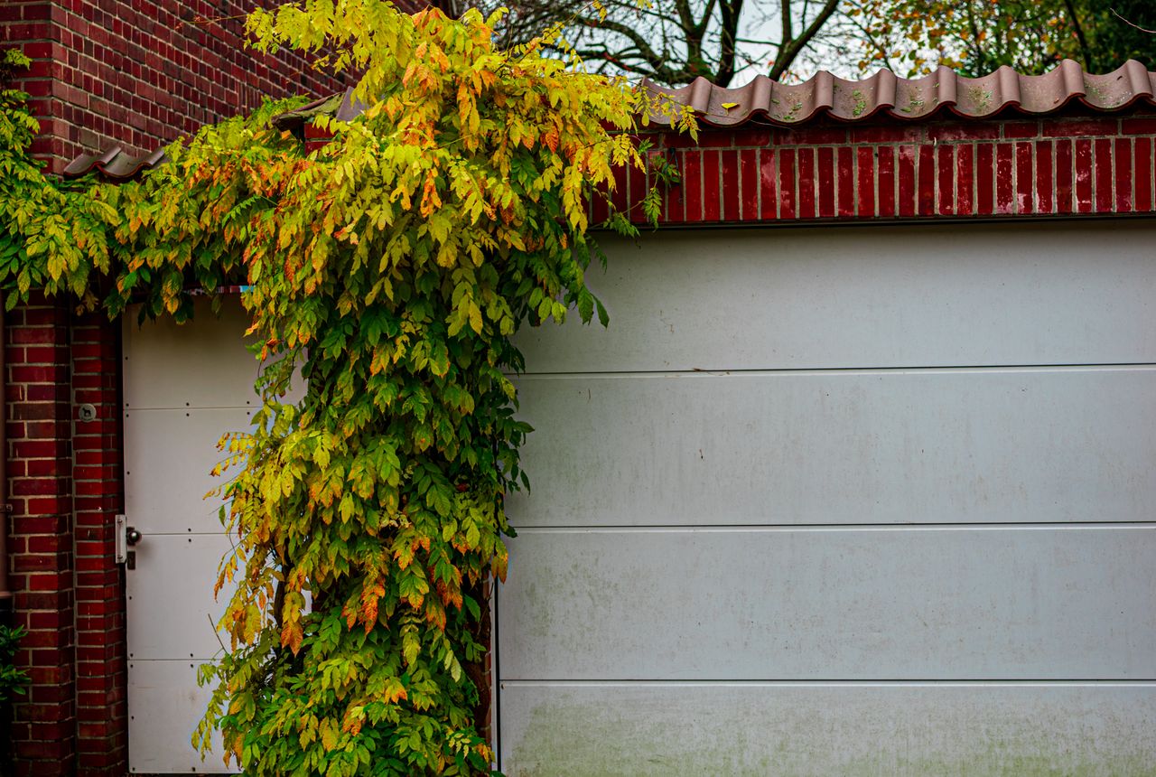 Garage door service in Nashville, TN